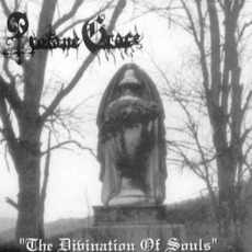 The Divination Of Souls mp3 Album by Profane Grace