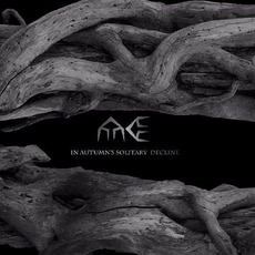In Autumn's Solitary Decline mp3 Album by Ater Era