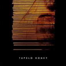 Tupelo Honey mp3 Album by Tupelo Honey