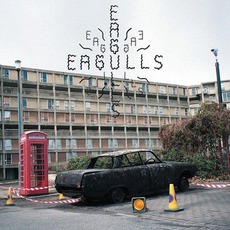 Eagulls mp3 Album by Eagulls