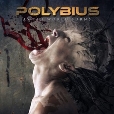 As The World Burns mp3 Album by Polybius