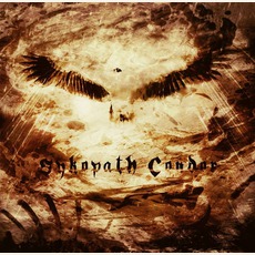 Sykopath Condor mp3 Album by Sykopath Condor