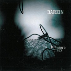Just More Drugs mp3 Album by Barzin