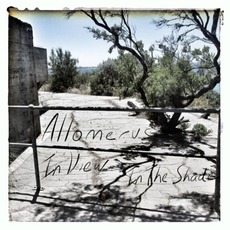 In VIew In The Shade mp3 Album by Allomerus