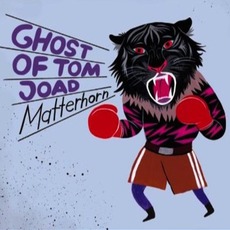 Matterhorn mp3 Album by Ghost Of Tom Joad