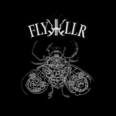 Experiments In VIolent Light mp3 Album by Flykkiller