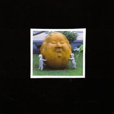 Knucklehead Freefall mp3 Album by Sir Richard Bishop