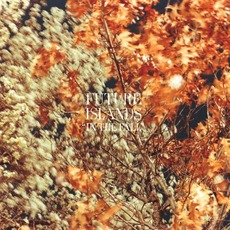 In The Fall mp3 Album by Future Islands