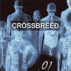 .01 mp3 Album by Crossbreed