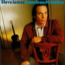 American Primitive mp3 Album by Steve James