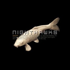 Selection mp3 Artist Compilation by Nighthawks