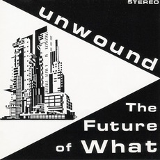 The Future Of What mp3 Album by Unwound