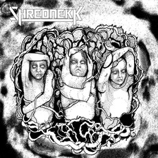 The Suicide Tribe mp3 Album by Shrednekk