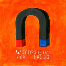 For Paolo mp3 Album by Woodpigeon