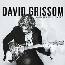 How It Feels To Fly mp3 Album by David Grissom