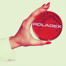 Anthems For The Micro-Age mp3 Album by Roladex