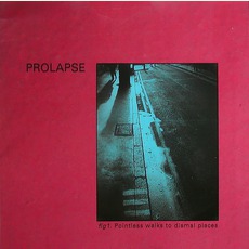 Pointless Walks To Dismal Places mp3 Album by Prolapse