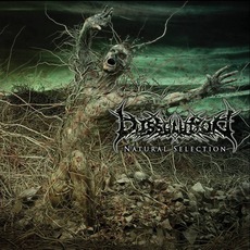 Natural Selection mp3 Album by Dissolution