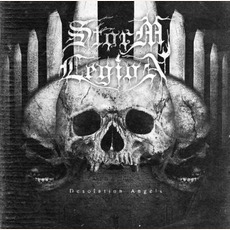 Desolation Angels mp3 Album by Storm Legion