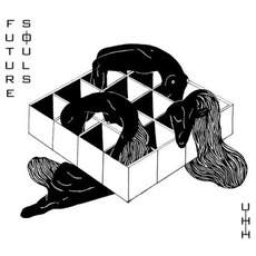 Future Souls mp3 Album by Uh Huh Her