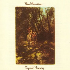 Tupelo Honey (Remastered) mp3 Album by Van Morrison