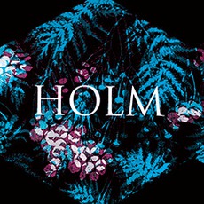 Holm mp3 Album by Fredrik