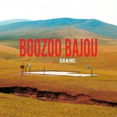 Grains mp3 Album by Boozoo Bajou
