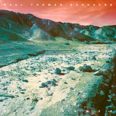 Beautiful Desolation mp3 Album by Paul Thomas Saunders