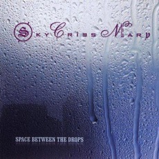 Space Between The Drops mp3 Album by Sky Cries Mary