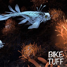 Into Shore mp3 Album by Bike Tuff