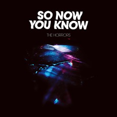 So Now You Know mp3 Single by The Horrors