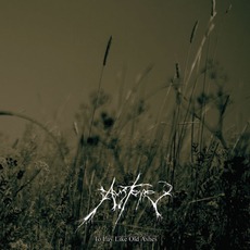 To Lay Like Old Ashes mp3 Album by Austere