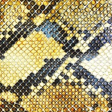 Amphetamine Ballads mp3 Album by The Amazing Snakeheads