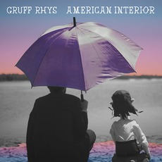 American Interior mp3 Album by Gruff Rhys