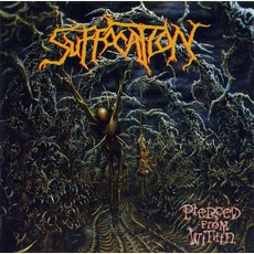 Pierced From Within mp3 Album by Suffocation
