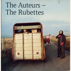 The Rubettes mp3 Single by The Auteurs