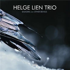 Badgers And Other Beings mp3 Album by Helge Lien Trio