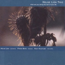 What Are You Doing For The Rest Of Your Life mp3 Album by Helge Lien Trio