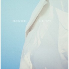 Heliogram mp3 Album by Black Twig