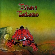 Tortoise mp3 Album by Trion