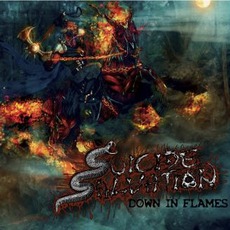 Down In Flames mp3 Album by Suicide Salvation