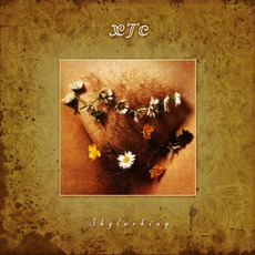 Skylarking (Corrected Polarity Edition) mp3 Album by XTC