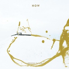 Now mp3 Album by Fabrizio Paterlini