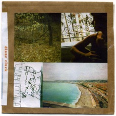 Diane Cluck mp3 Album by Diane Cluck