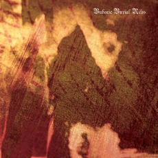 Bubonic Burial Rites mp3 Album by Gnaw Their Tongues