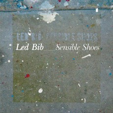 Sensible Shoes mp3 Album by Led Bib