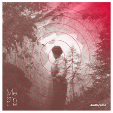 Audiorama mp3 Album by Mermonte
