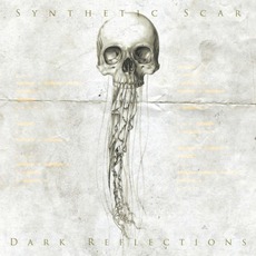 Dark Reflections mp3 Album by Synthetic Scar