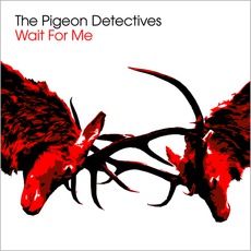 Wait For Me mp3 Album by The Pigeon Detectives
