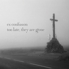Too Late, They Are Gone mp3 Album by Ex Confusion